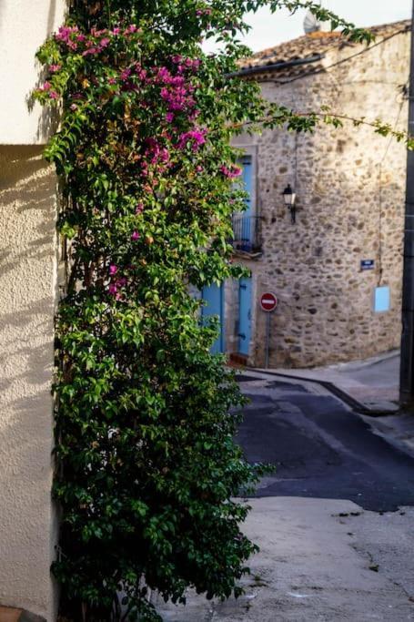 Welcome, Bienvenue, Chez Charly! Nébian 외부 사진